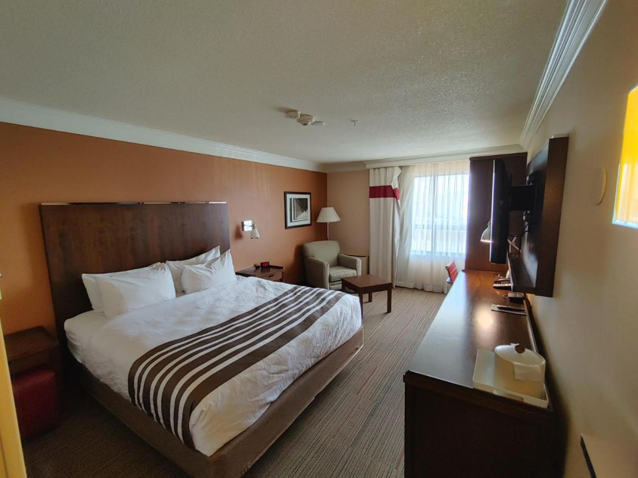 Waterloo Suites Hotel, Trademark Collection By Wyndham Buitenkant foto