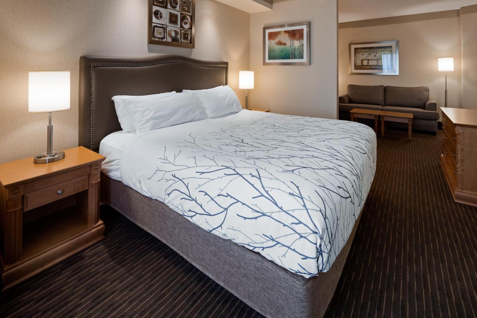 Waterloo Suites Hotel, Trademark Collection By Wyndham Buitenkant foto